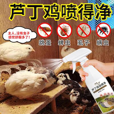 芦丁鸡驱虫喷雾防脱毛啄毛鸡用净驱虱子螨虫鹦鹉清洁除臭鸟类用品