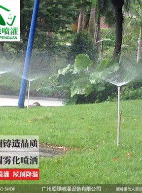 4分铜喷头园艺可调屋顶降温喷头折射雾化草坪灌溉大棚微喷头设备