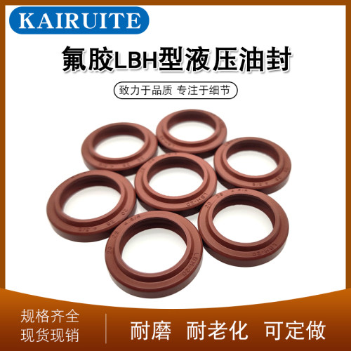 氟胶LBH40/45/48/50/53/55*48/53/56/58/61/63*6.5   液压防尘圈