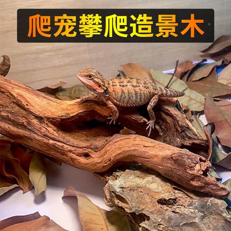 爬宠造景木蜥蜴攀爬木晒台守宫变色龙爬虫饲养箱枯木树枝鱼缸沉木