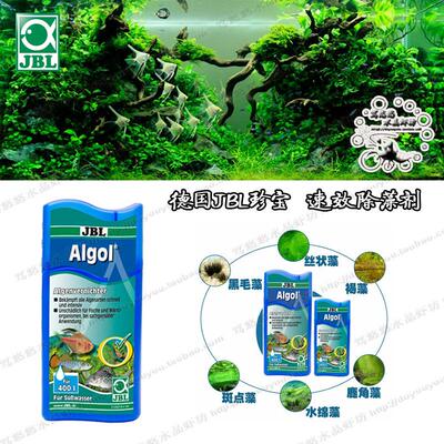 德国JBL珍宝 淡水除藻水 除藻剂100ml 真正不伤鱼虾 水晶虾缸包邮