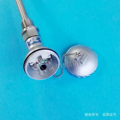 铠装热电阻WZPK-230 WZPK-231 PT100温度计 固定螺纹M27X2热电阻