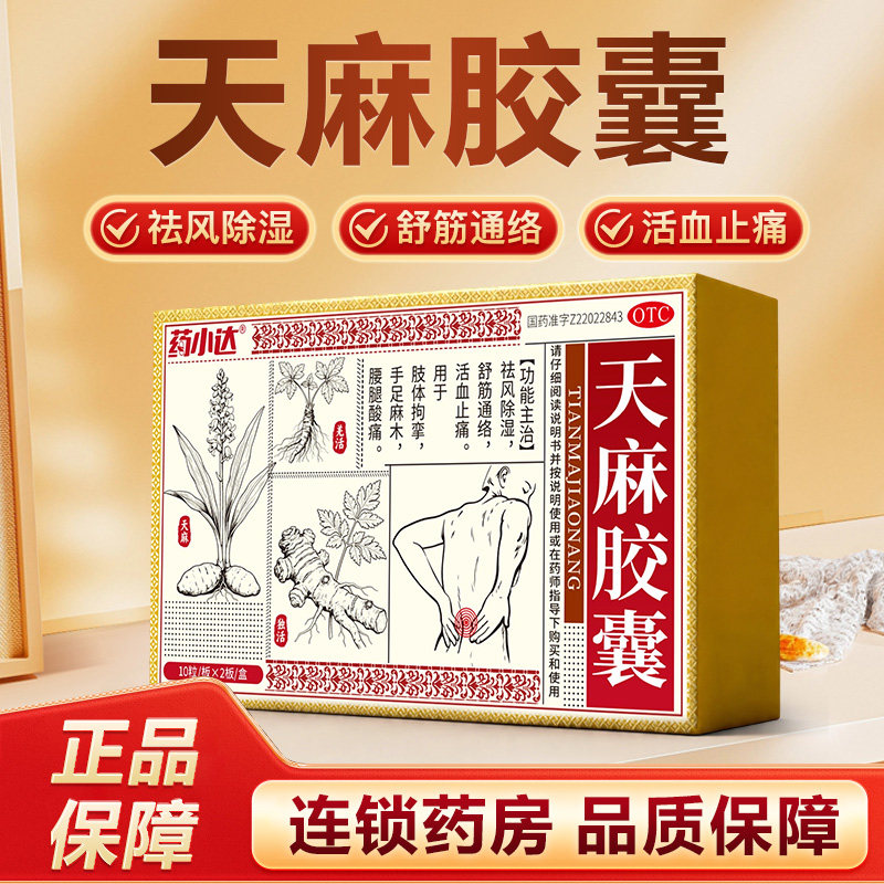 药小达天麻胶囊祛风除湿舒筋通络活血止痛手足麻木腰腿酸痛