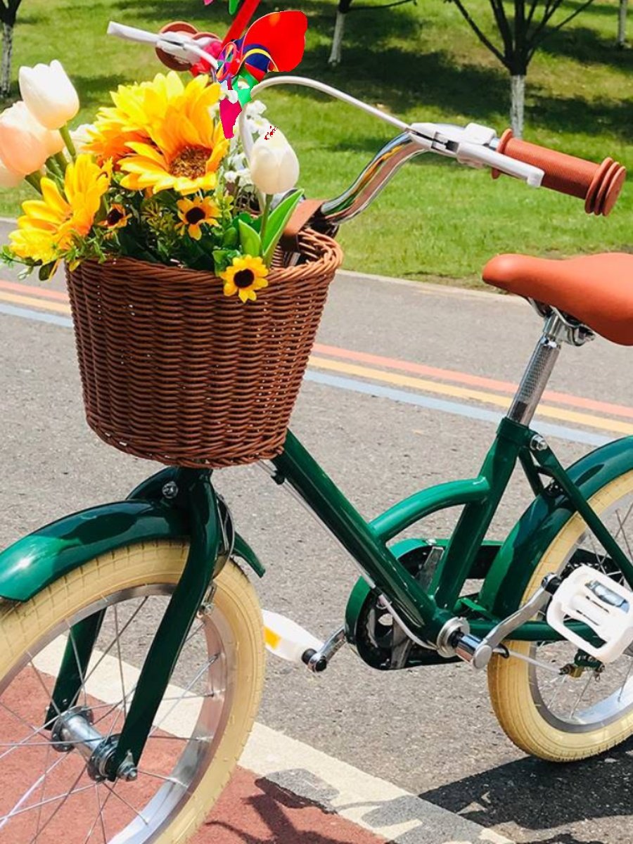 儿童自行车篮童车车筐小轮单车前车篓小号小孩遛娃神器单车菜篮子