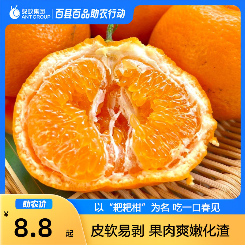 忠橙柑橘春见耙耙柑新鲜应季时令水果柑橘带箱3斤5斤