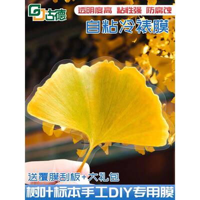高光冷裱膜自粘哑光相片塑封膜树叶标本过塑膜塑封A4自封膜A3塑封