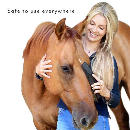 外贸Original For Horses Dogs 6合1 马狗脱毛美容按摩马用刮毛板
