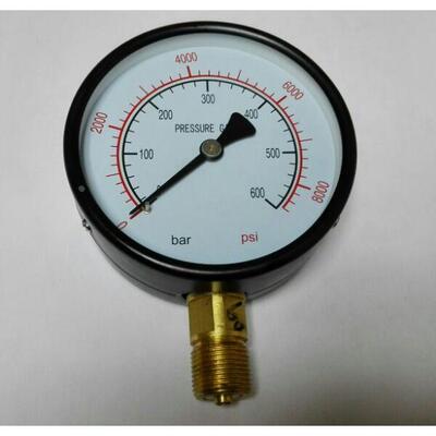 压力计100mm 双刻度压力显示表 pressuregauge 0-600bar 8000psi