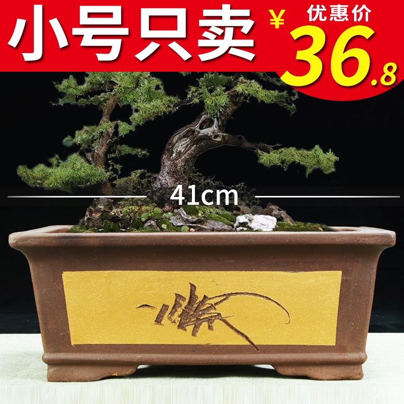 宜兴紫砂花盆大口径特价清仓盆造型老桩花盆室内阳台菖蒲陶瓷盆景,农机/农具/农膜,灌溉工具,淘宝优惠券,粉丝福利购,淘宝优惠卷