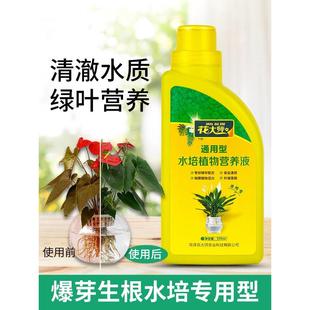 水培植物营养液富贵竹专用水养转运竹巴西木郁金香种球绿萝花肥料