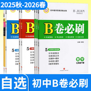 B卷必刷七下数学北师大七八九年级上册下册中考核心考点初中初一初二初三资料期中期末同步练习册b卷必刷八下数学
