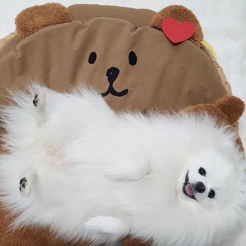 现货冬新宠物狗狗猫咪保温保暖睡袋半开放推车边缘垫子防脏加绒窝