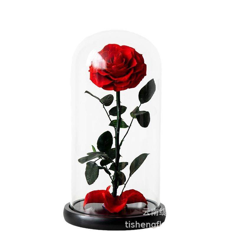永生花成品小王子的玫瑰14*22CM女友生日礼物玻璃摆件送精美礼盒,家居饰品,餐桌花艺,淘宝优惠券,粉丝福利购,淘宝优惠卷