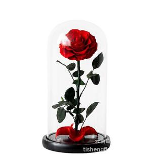 永生花成品小王子的玫瑰14*22CM女友生日礼物玻璃摆件送精美礼盒