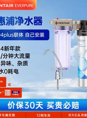 美国爱惠浦净水器家用直饮厨房自来水水龙头过滤器商用超滤净化器