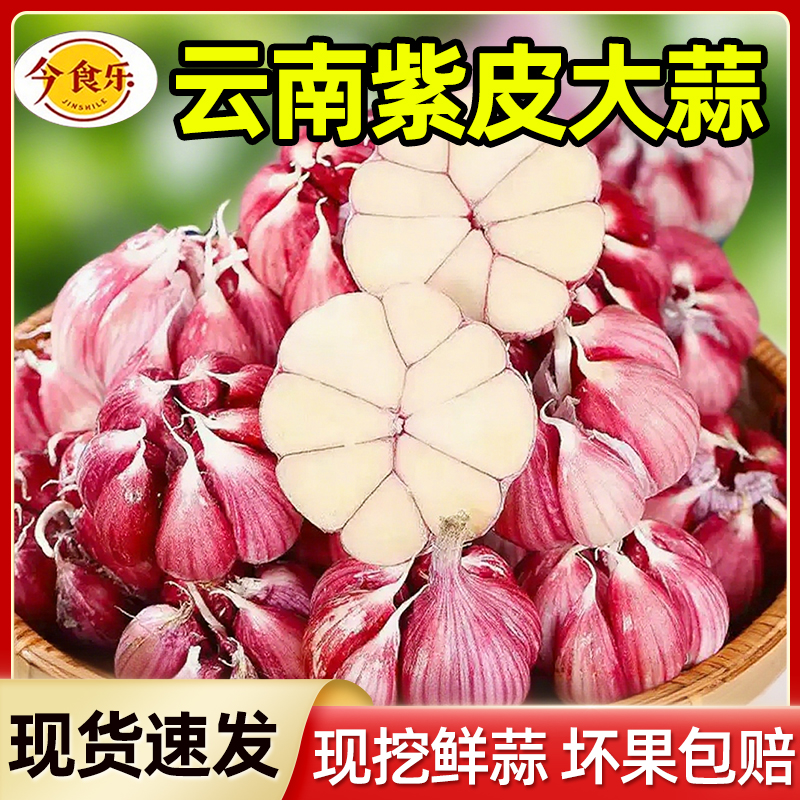 今食乐云南大理当季紫皮多瓣蒜