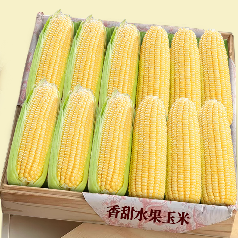 【水果玉米】香甜多汁|商超精品