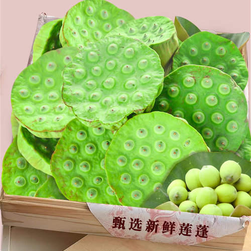 新鲜莲蓬|鲜嫩怡人|营养美味