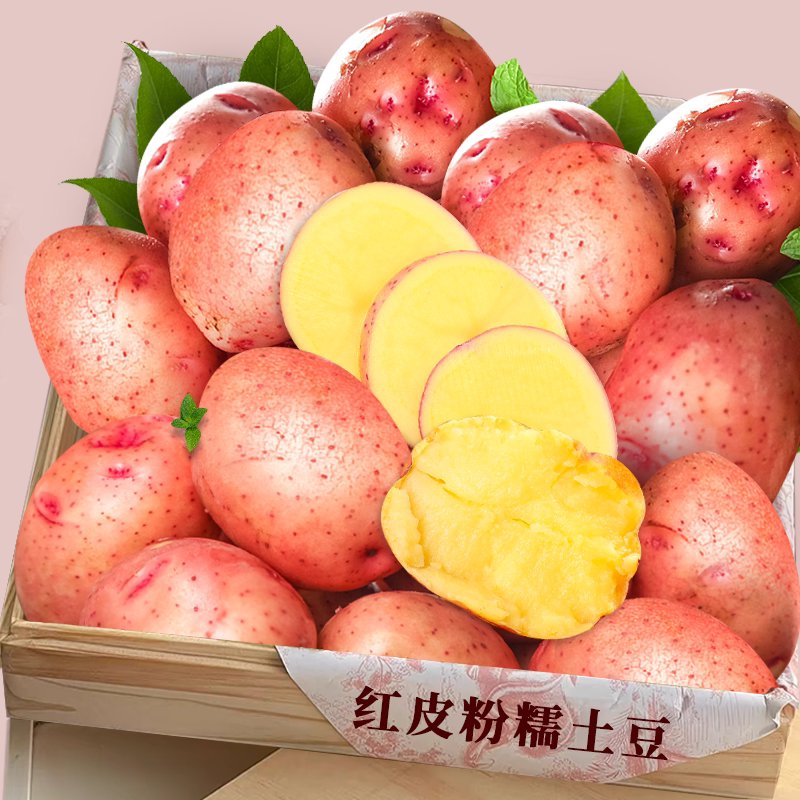 红皮小土豆!营养美味!老农力荐