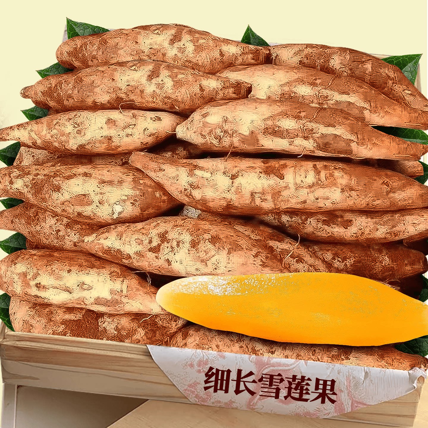 新鲜纤细雪莲果！农家种植！美味