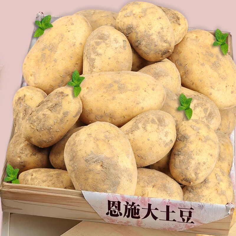 【恩施大土豆】粉面细腻营养美味