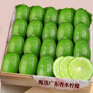 【广东香水柠檬】原汁原味|直发!