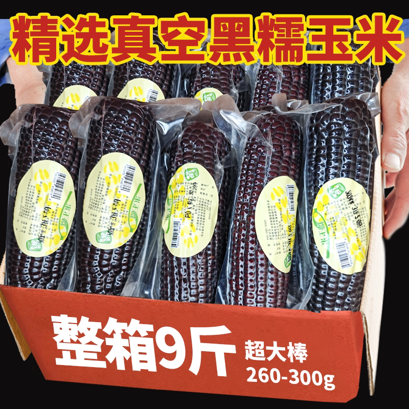 鲜黑糯玉米!当季头茬新鲜