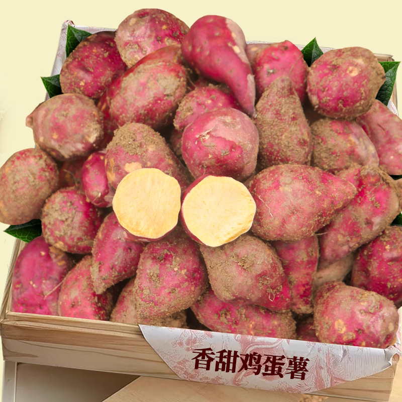 香甜鸡蛋薯！新鲜现挖|商超精品