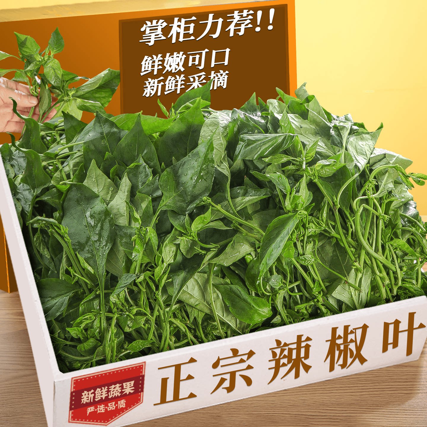 新鲜辣椒叶！鲜香味美丨产地直发