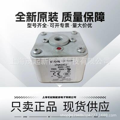 170M5412170M5413170M5414170M5415170M5416巴斯曼熔断器