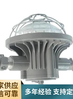 DGS24/127L(B)扇形矿用巷道灯煤矿井下用LED巷道灯