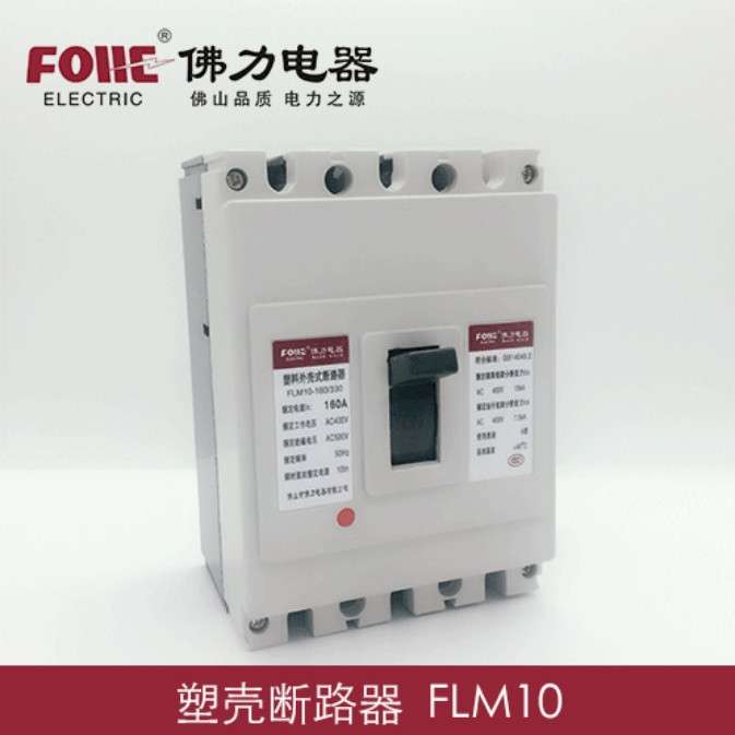 DZ10-100/160A/2P两极空气开关FLM10-160/230 60A 80A 100A 160A