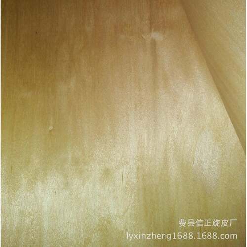 25丝桦木面皮1220*2440家具板贴面用旋切桦木木皮