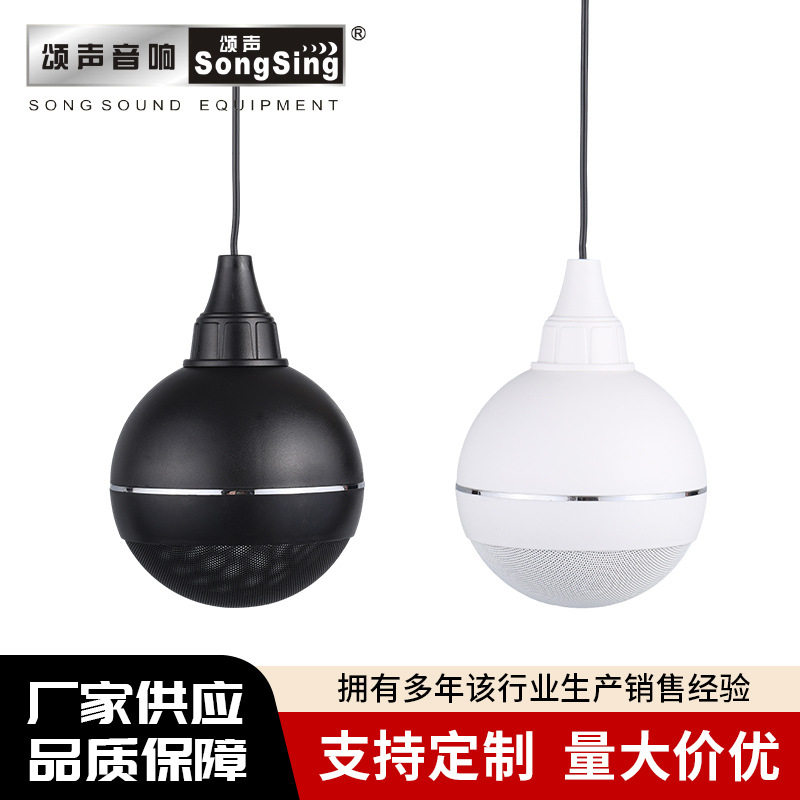 厂家批发5寸小功率悬挂音响吊球吊杆店铺超市吸顶天花吊顶音箱