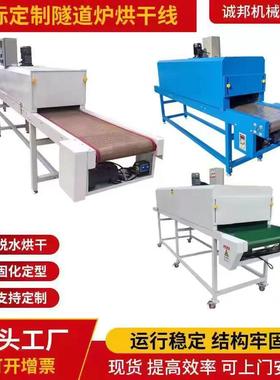 工业高温隧道炉烘干线特佛龙网带链板烤漆固化丝印五金烤炉输送机