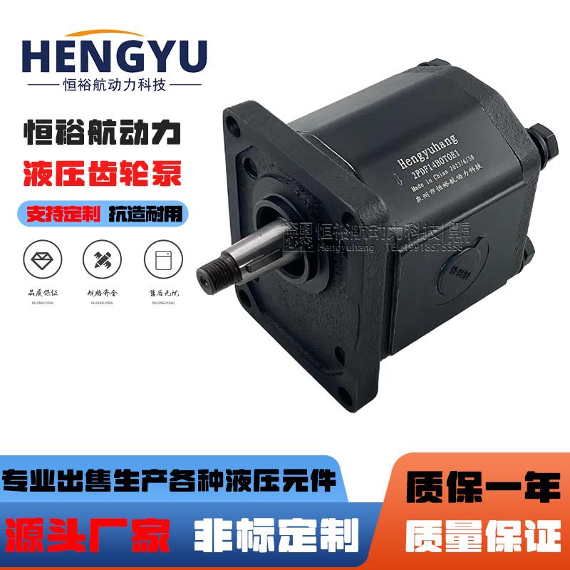 高压齿轮泵2PDF14B0T0E1油泵1PDF2.1RB0T0L3泵2PDF25DA0C液压泵