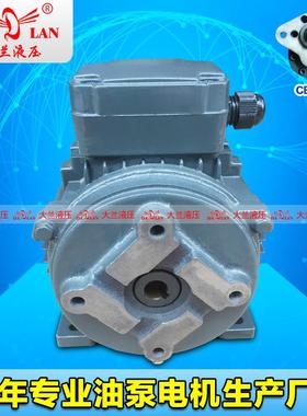 DALAN大兰液压润滑泵电机CB-B齿轮泵内轴电机DL-712-4-0.37KW