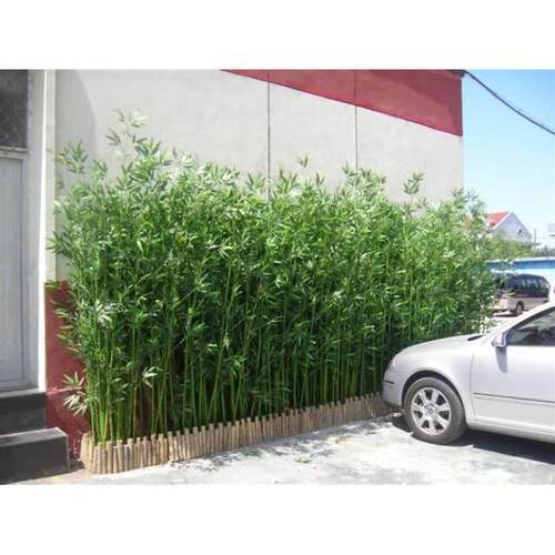 仿真竹子装饰加密塑料假仿竹子隔断屏风工程人造竹子毛竹