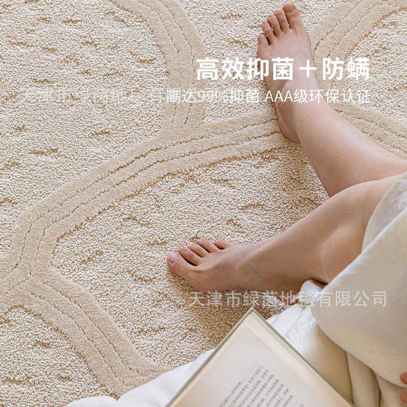 新西兰羊毛奶油风客厅地毯防水防污轻奢高级感免洗可擦硅藻丝沙发