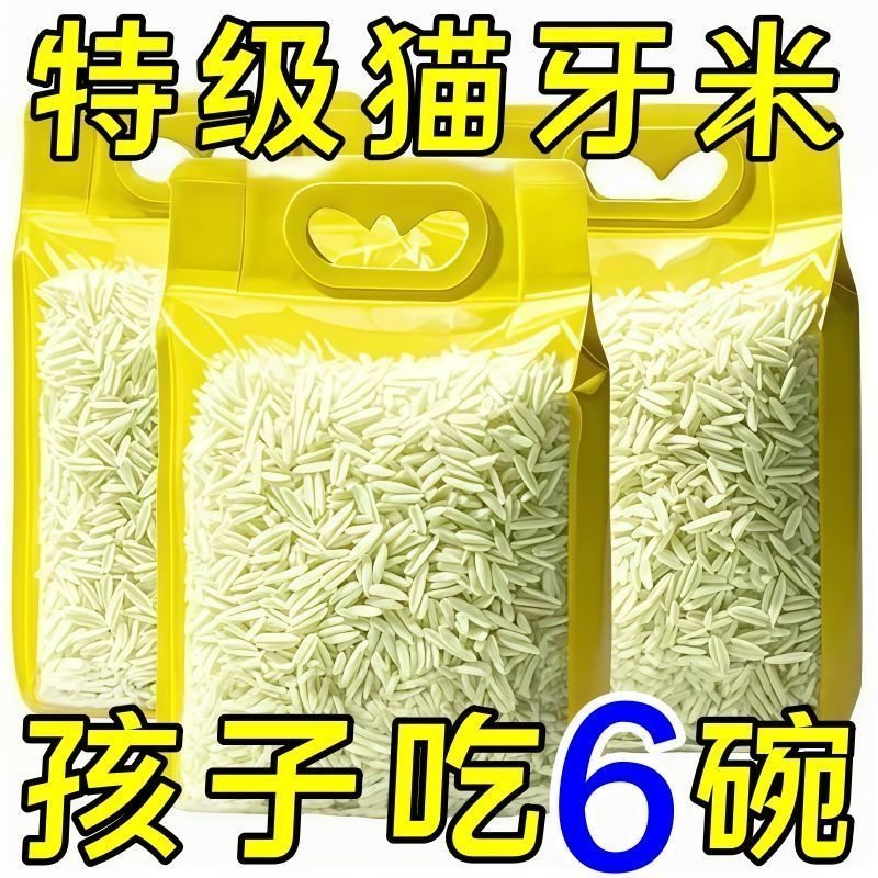 特价猫牙米优选油粘5斤长粒香大米丝苗米煲仔饭蛋炒饭专用农家米