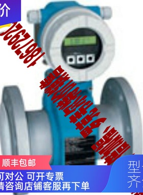 询价恩德斯豪斯 流量计 E+H 53P50-EA1B1AC2AXXX 恩德斯豪斯 DT
