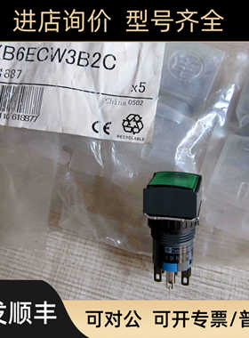 XB6ECW3B2C  正方形绿色瞬动复位 灯按钮 XB6EWC