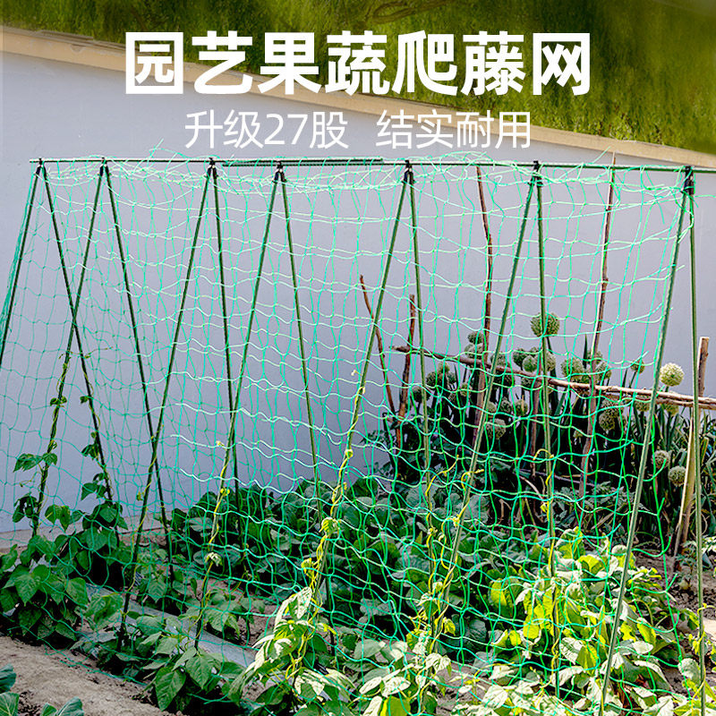 园艺植物爬藤网攀爬种植搭架丝瓜百香果豆角藤蔓花卉网农用葡萄棚