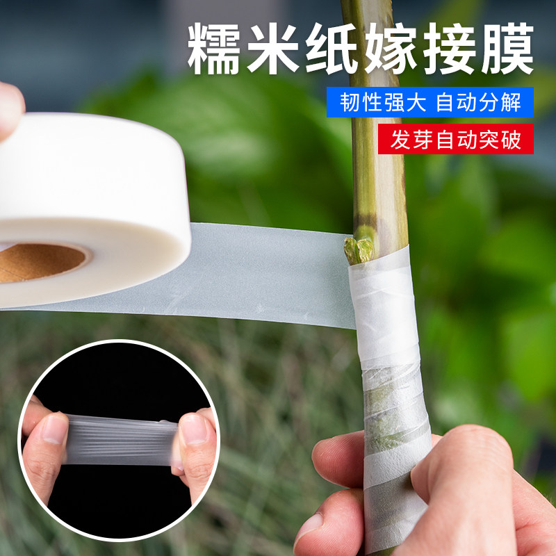 日本精选糯米纸嫁接专用膜果树自粘可降解接芽嫁接膜免拆糯米纸膜