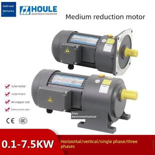 0.1Kw-5.5Kw立式卧式220/380V三相单相变频调速电机