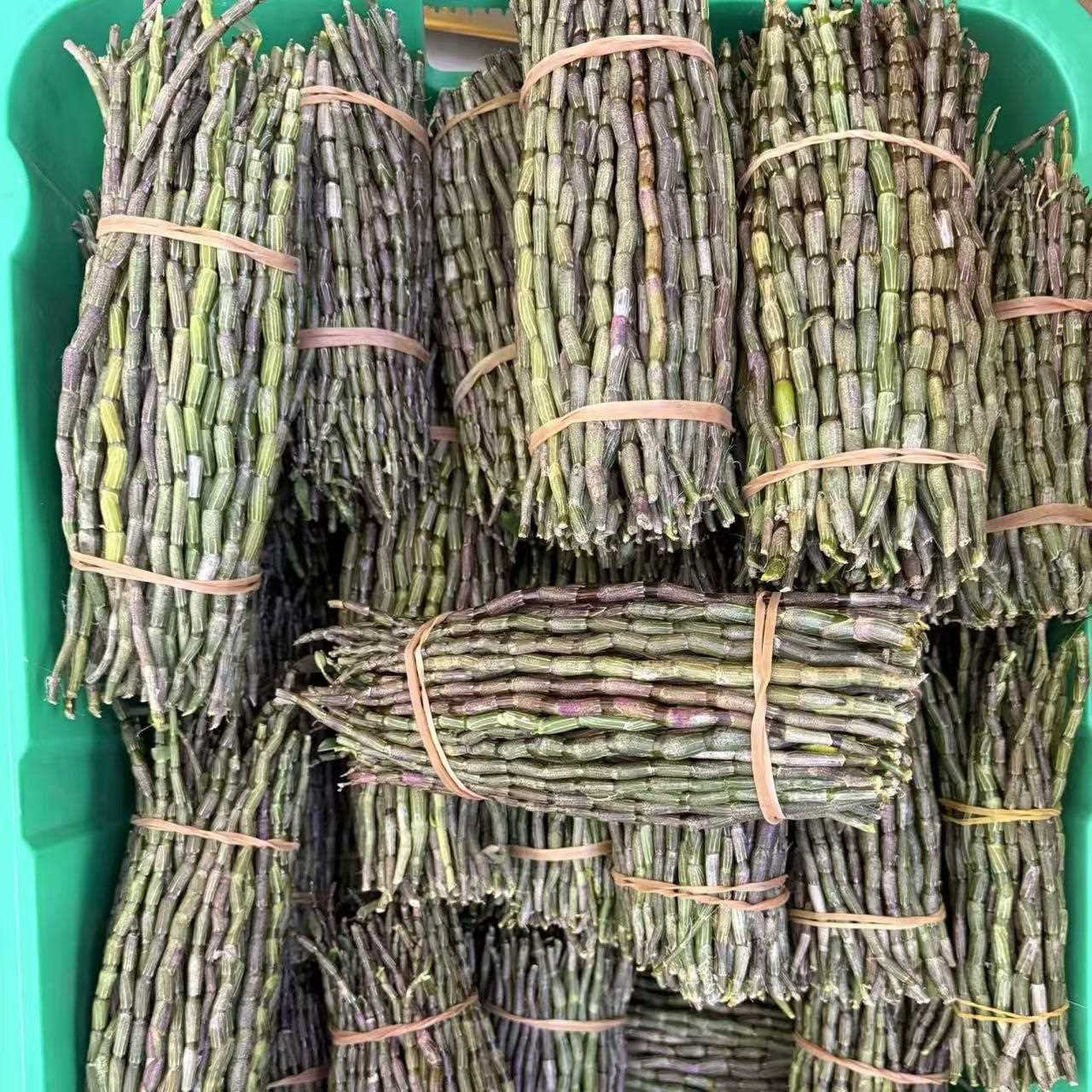 云南新鲜铁皮石斛鲜条500g四年生新鲜石斛铁皮枫斗农产品礼盒