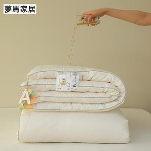 婴儿级A类提花大豆被羊绒质感柔软细腻无荧光甲醛夏凉春秋冬被芯