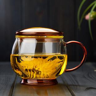 玻璃杯带把手茶水分离耐高温2025新款高硼硅家用带盖子办公泡茶杯