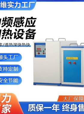 海德维中频感应加热设备锻造热处理设备透热焊接熔炼感应加热电源