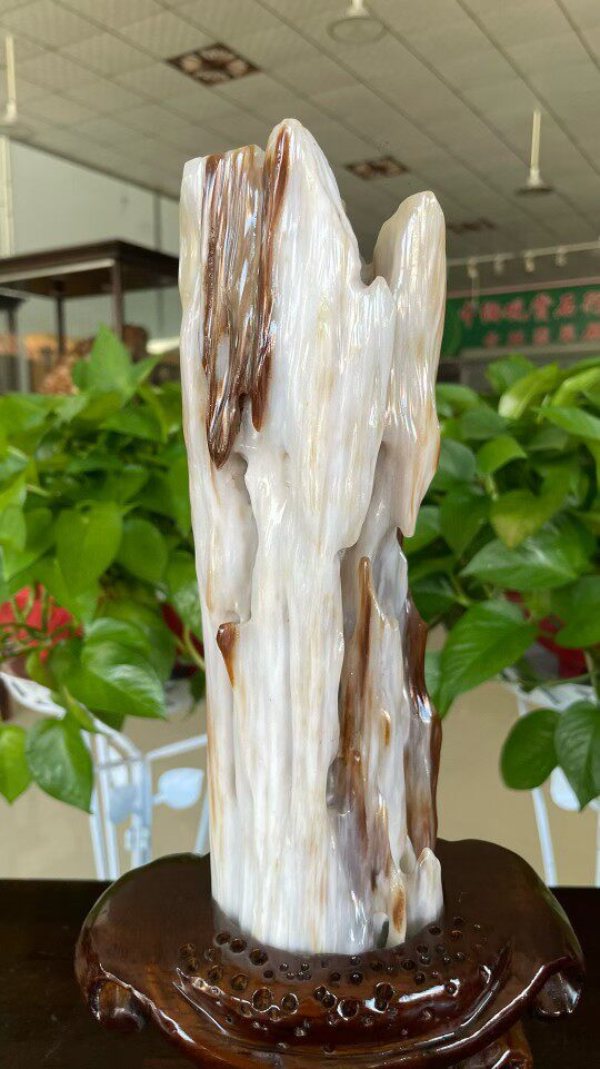 石头硅化木木造型客厅缅甸冰种奇石树原石树化玉摆件绿乳白色金色